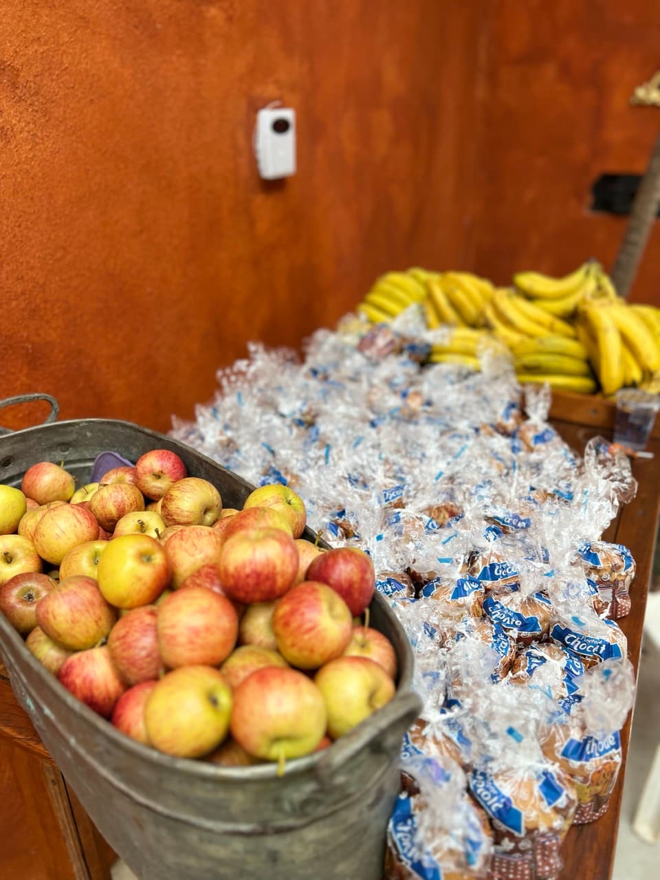 AMR - Associação Mineira de Reabilitação